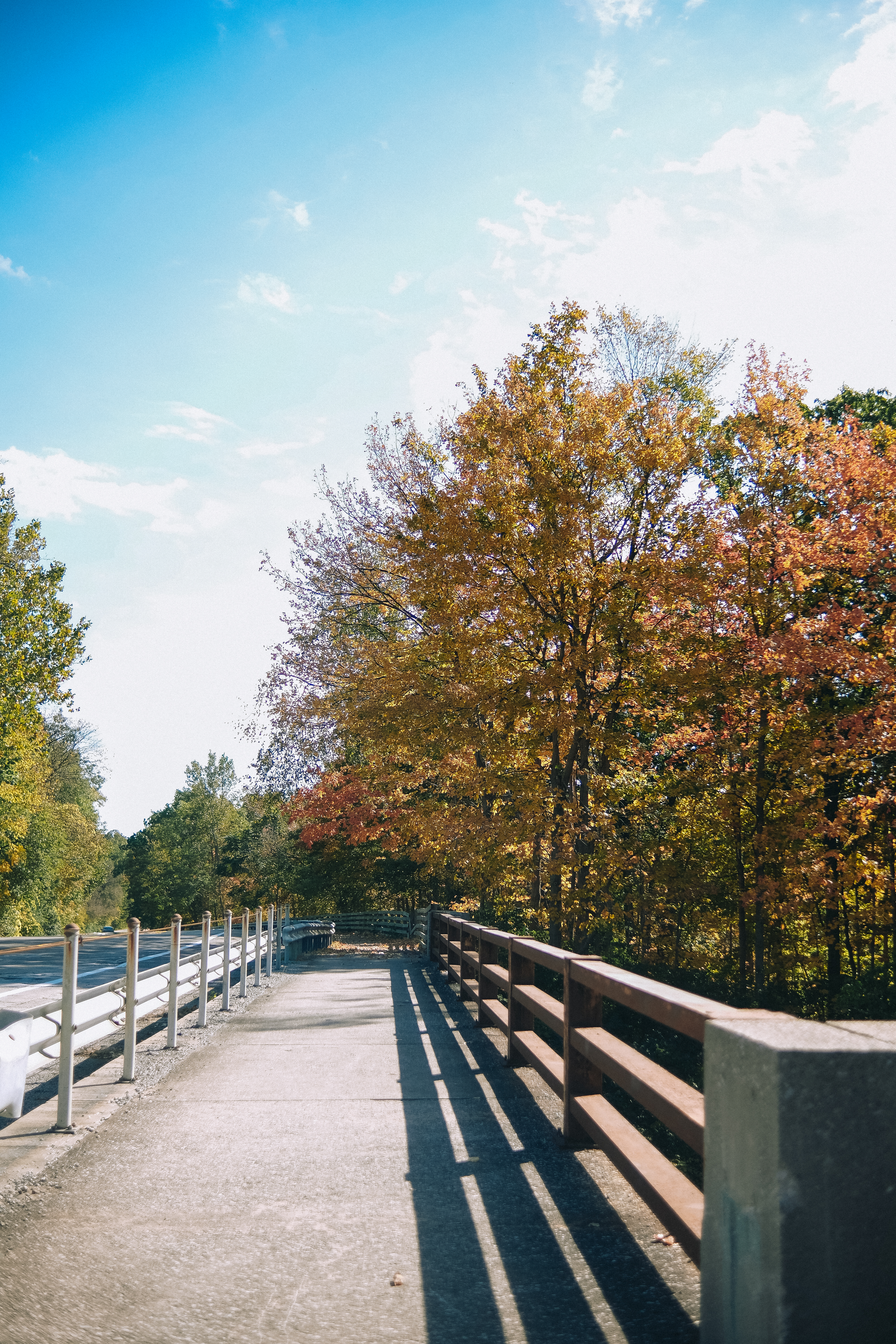Cycling Trail Shots