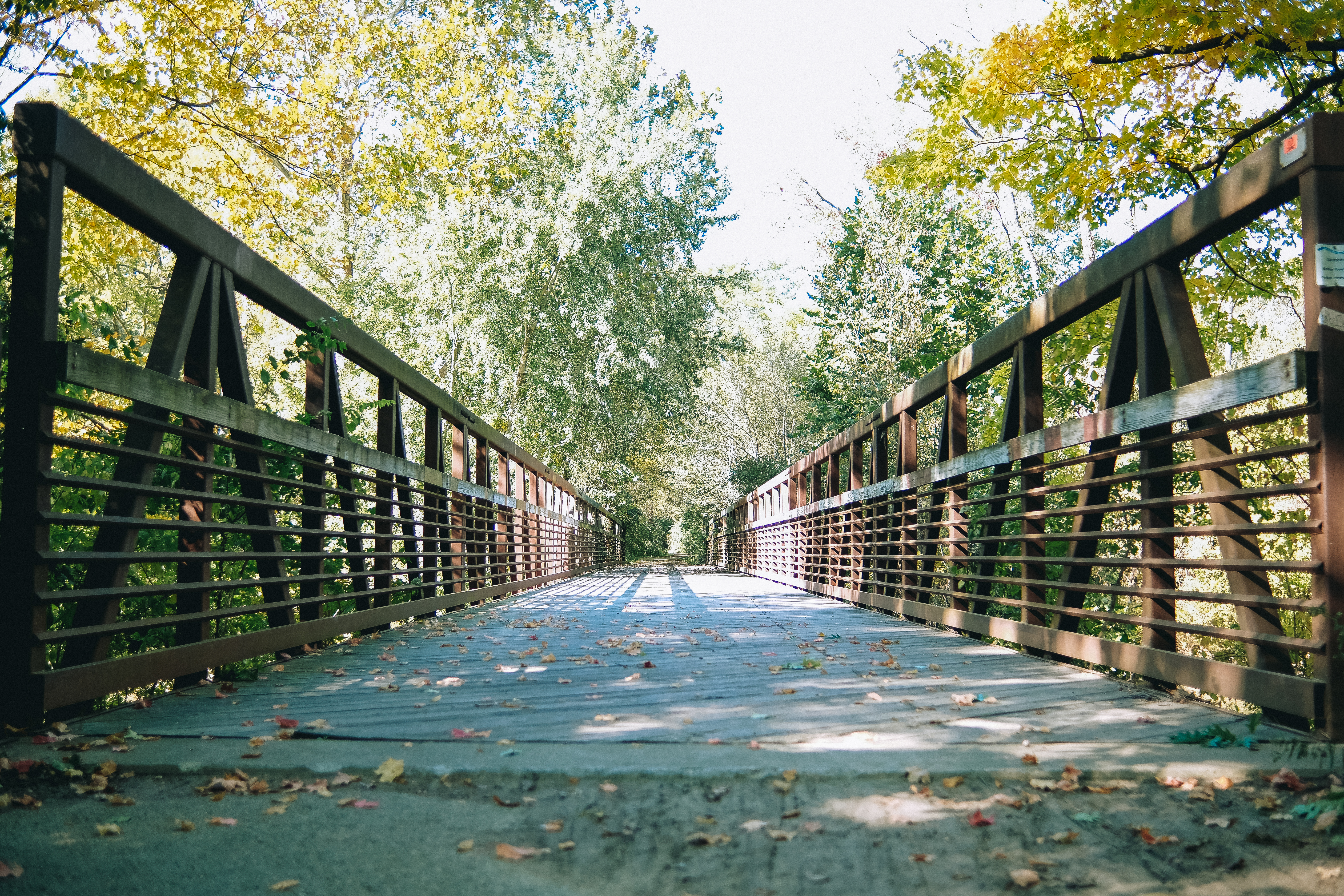 Cycling Trail Shots