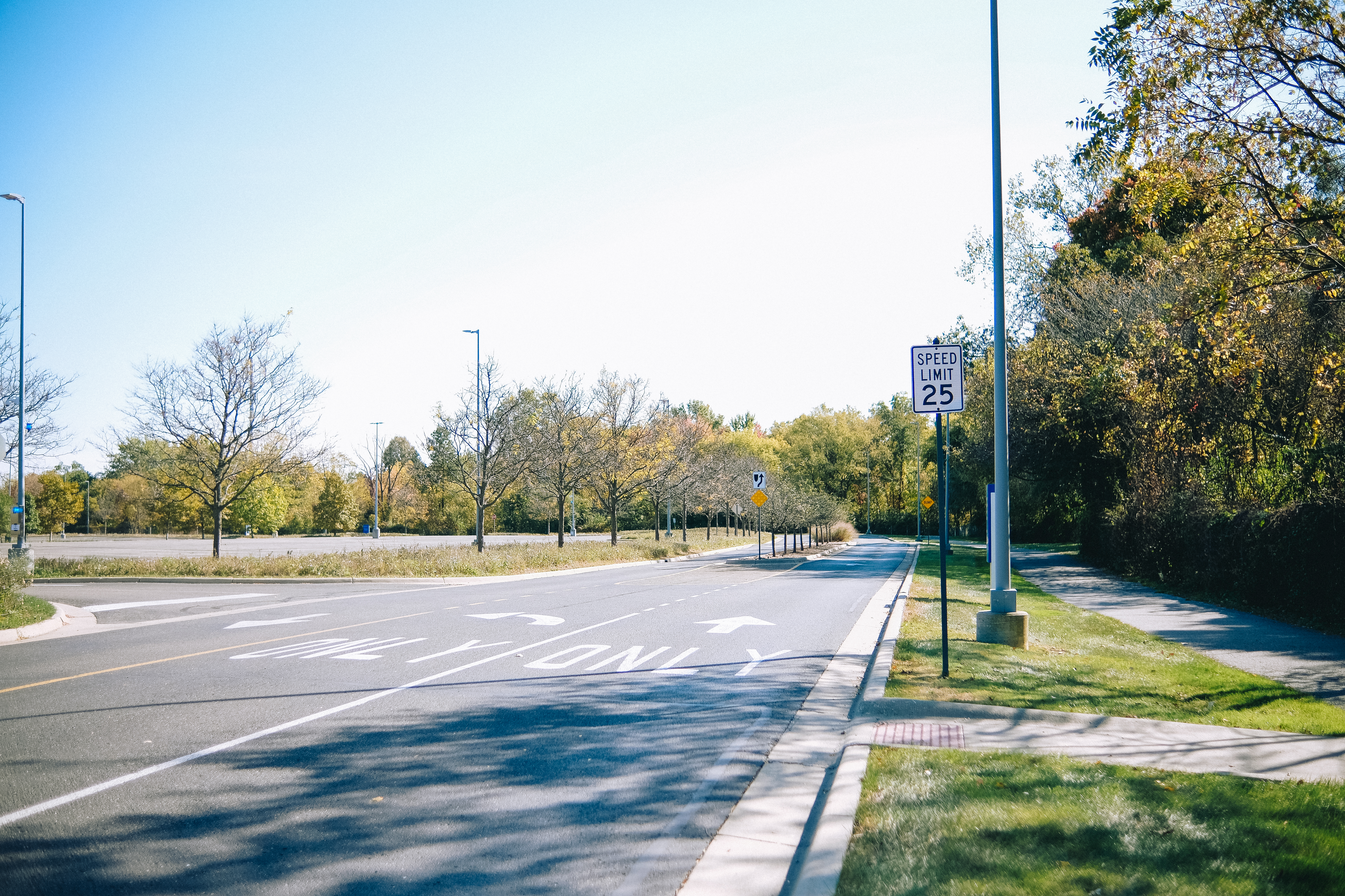 Cycling Trail Shots