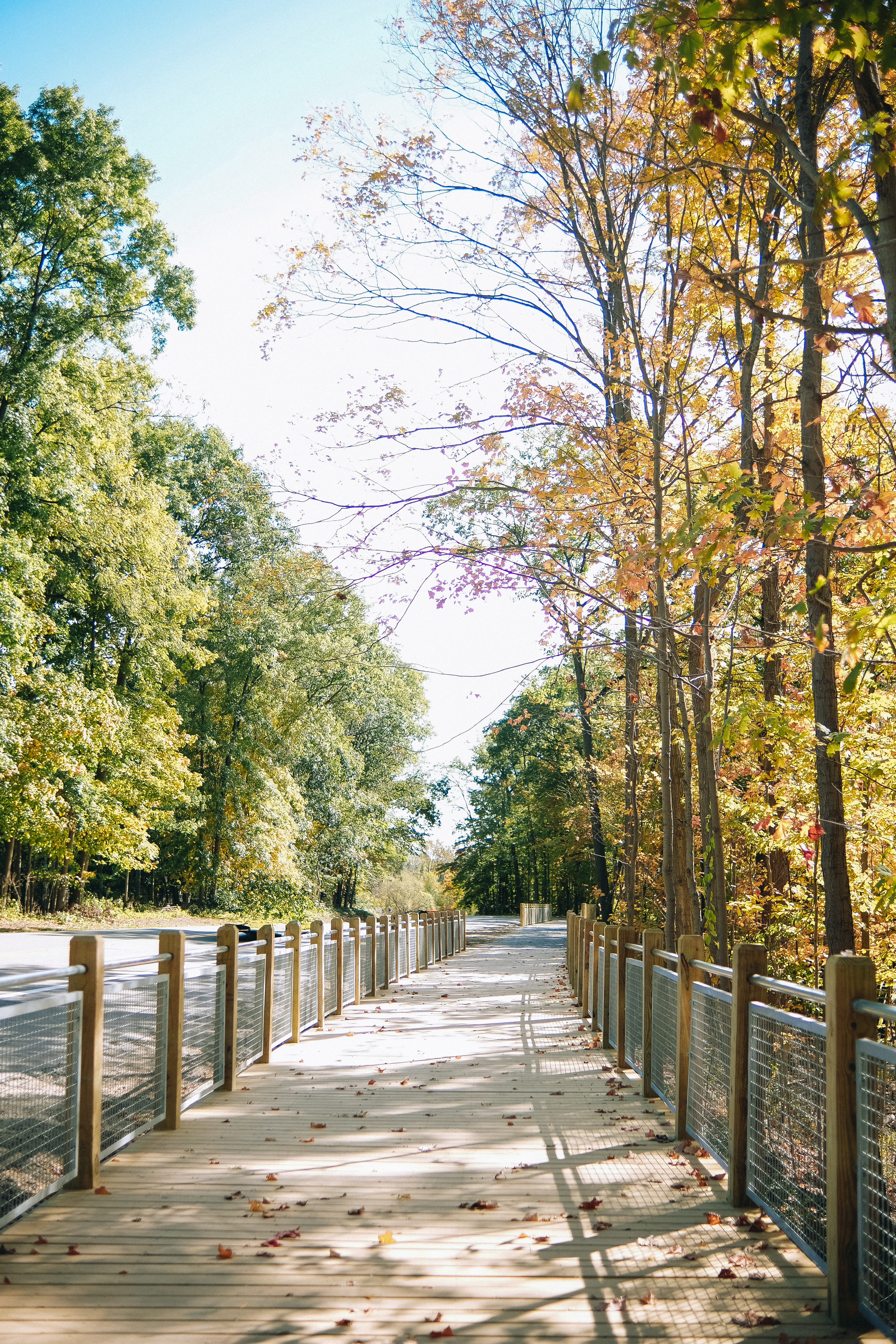 Cycling Trail Shots