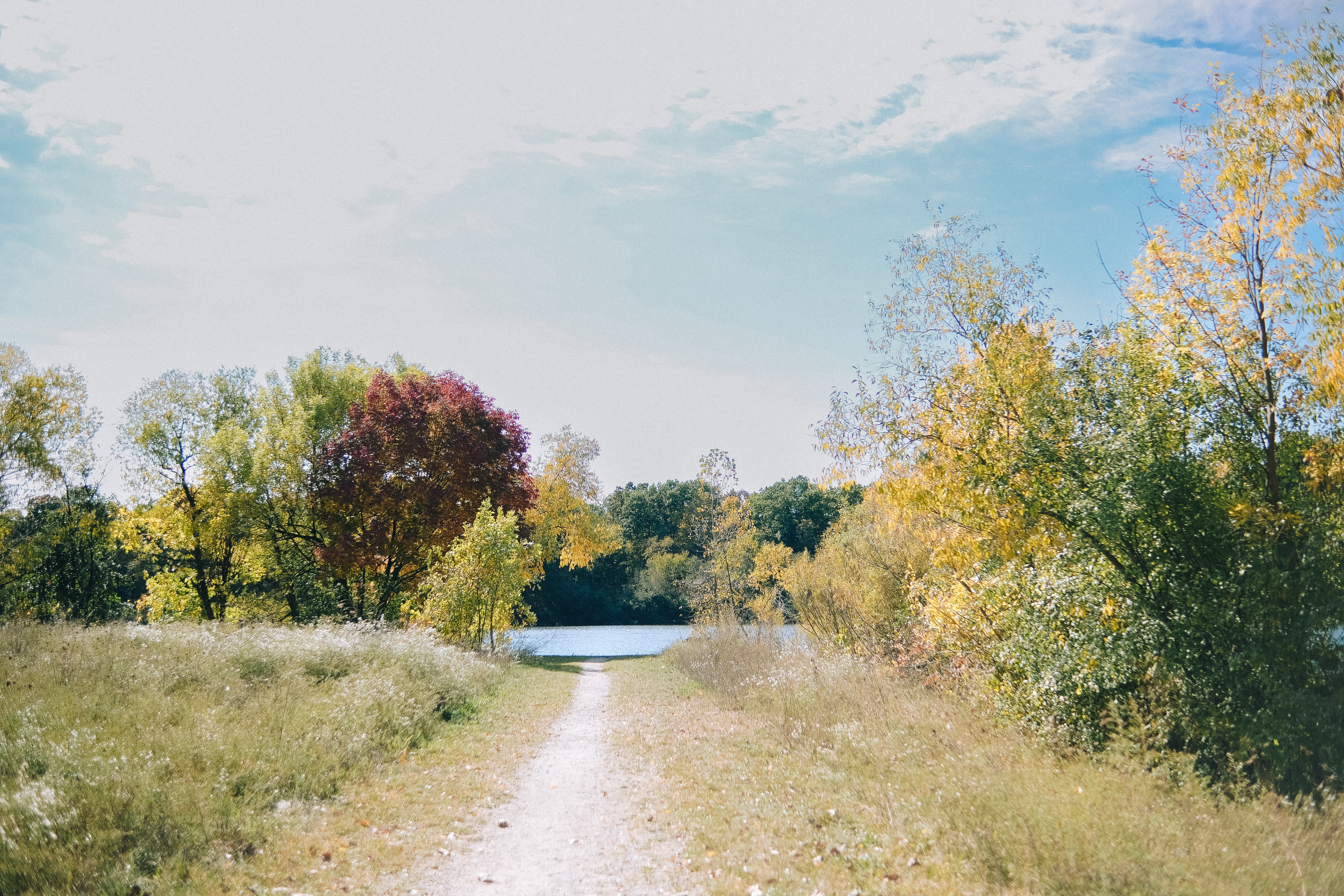Cycling Trail Shots
