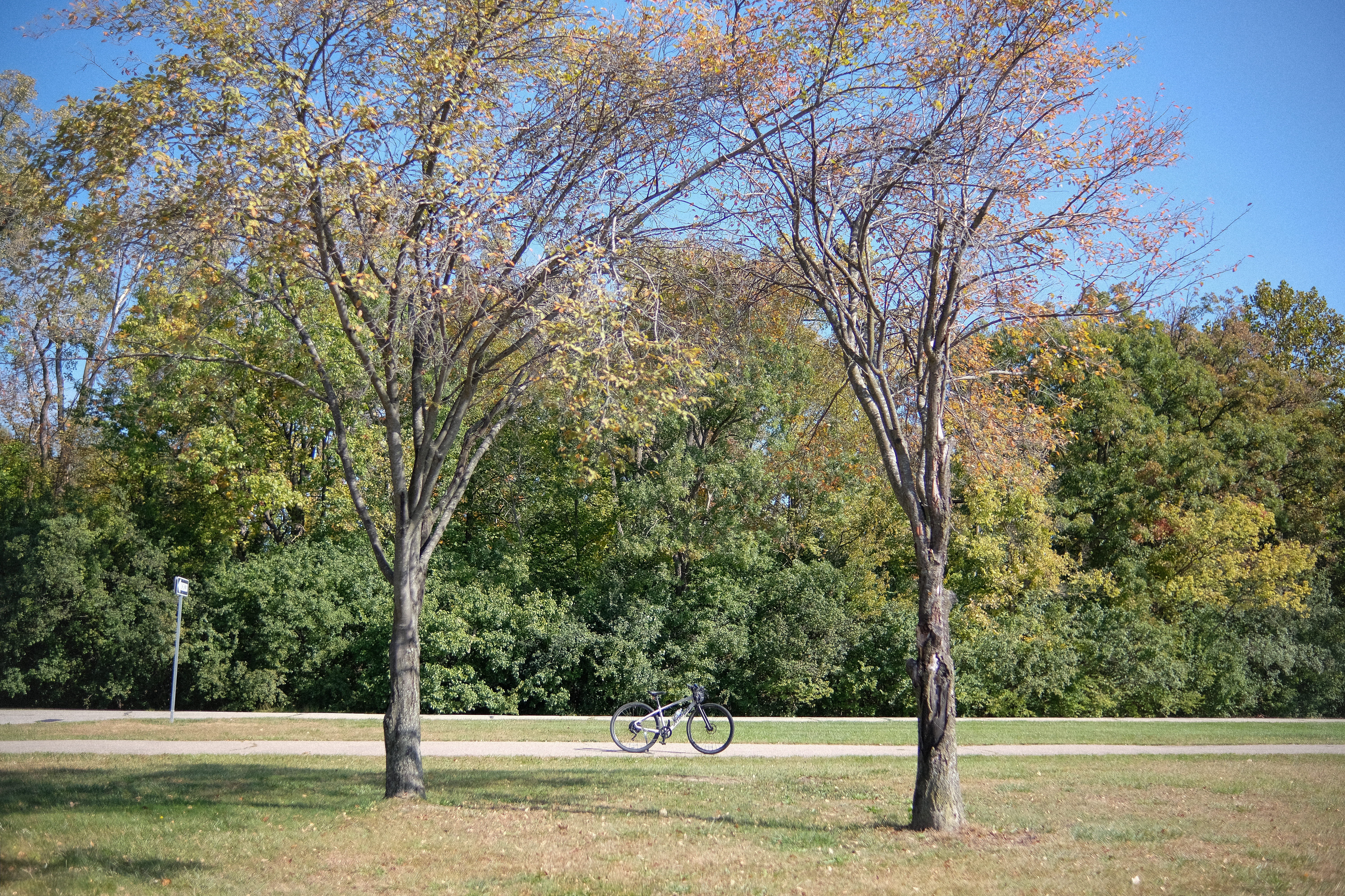 Cycling Trail Shots