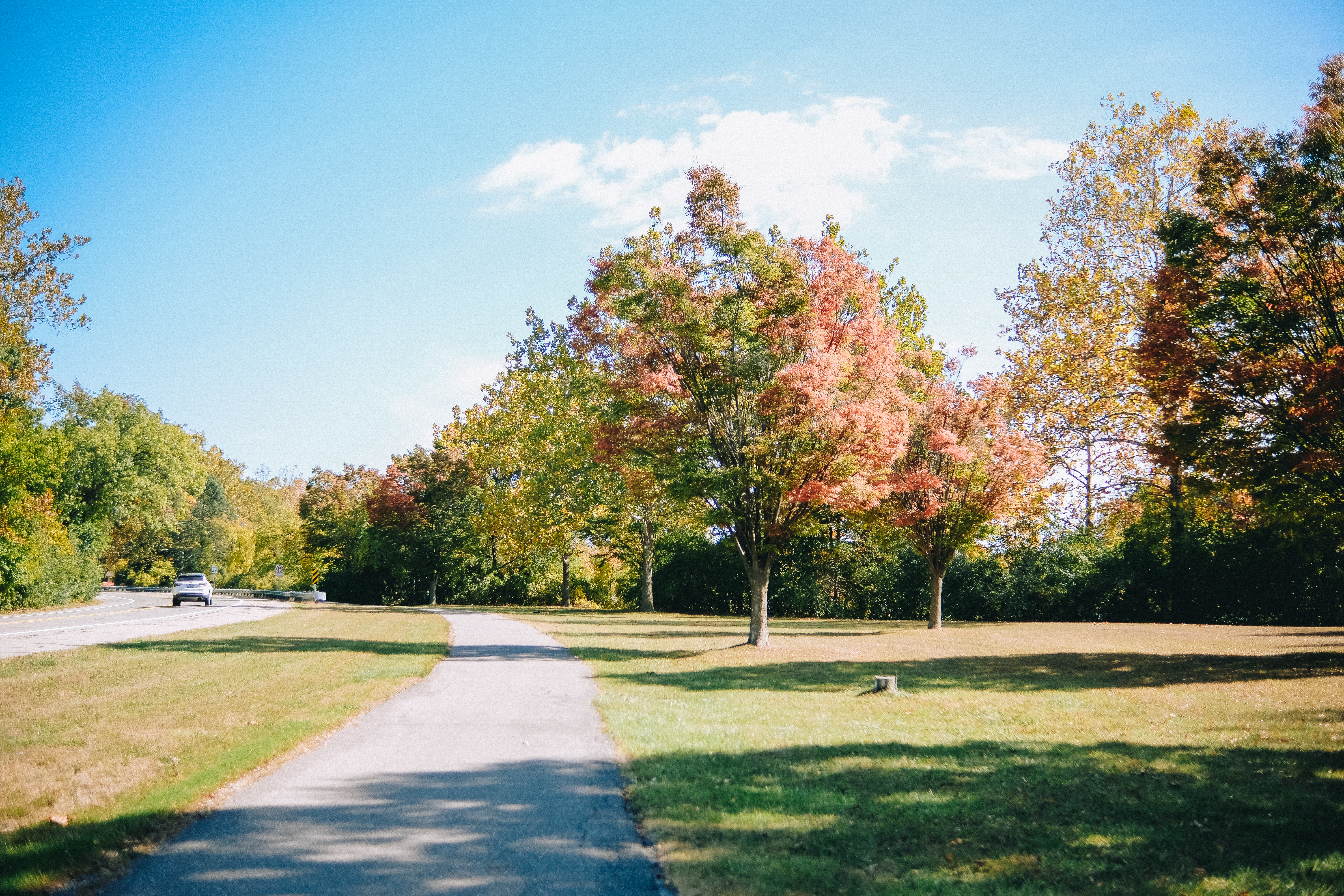 Cycling Trail Shots