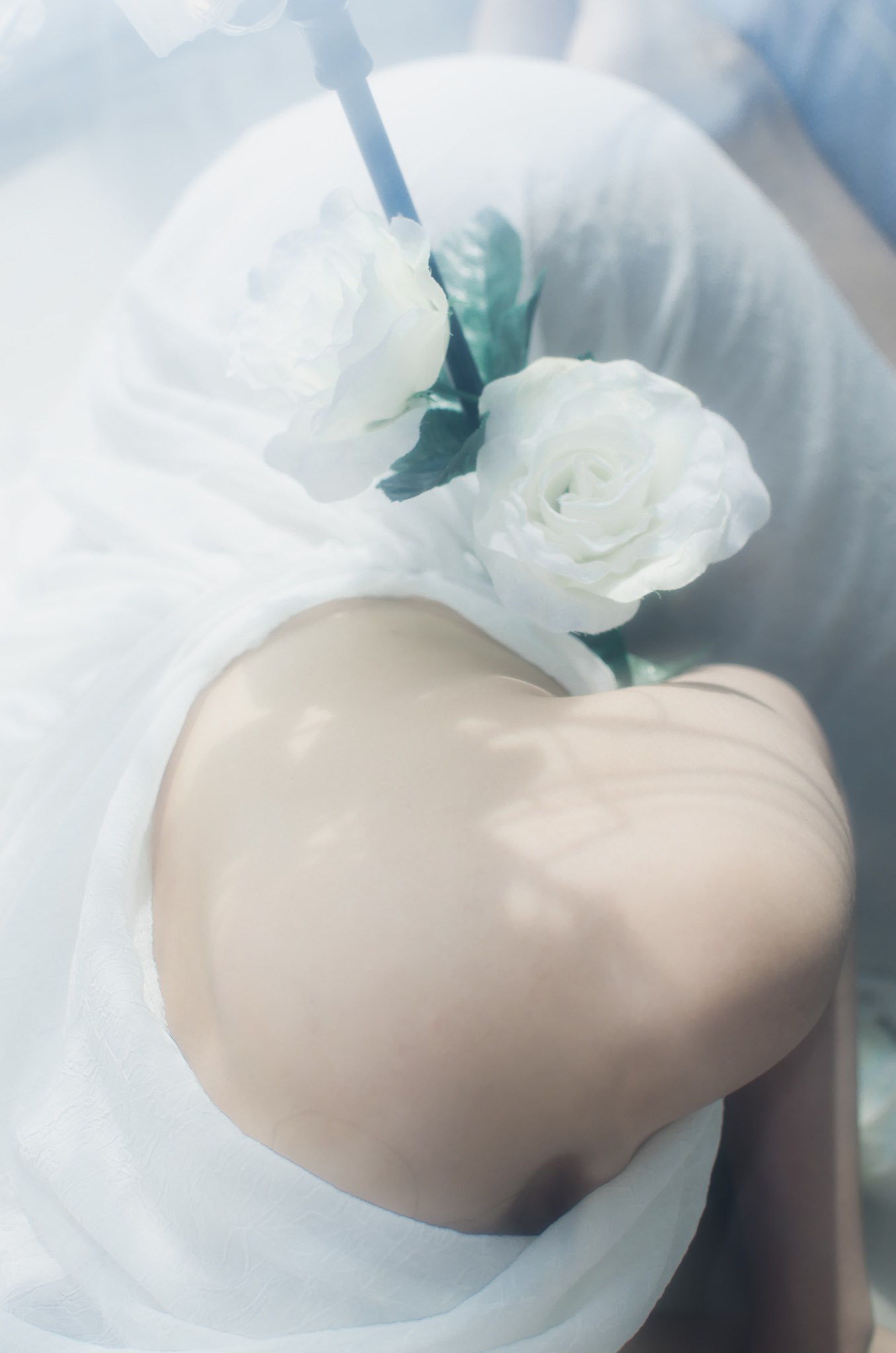 White Flower2